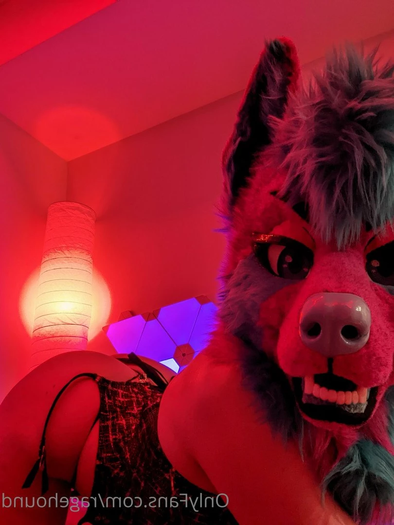 ragehound Onlyfans leaked photo 5297973 on Hotleaks.tv