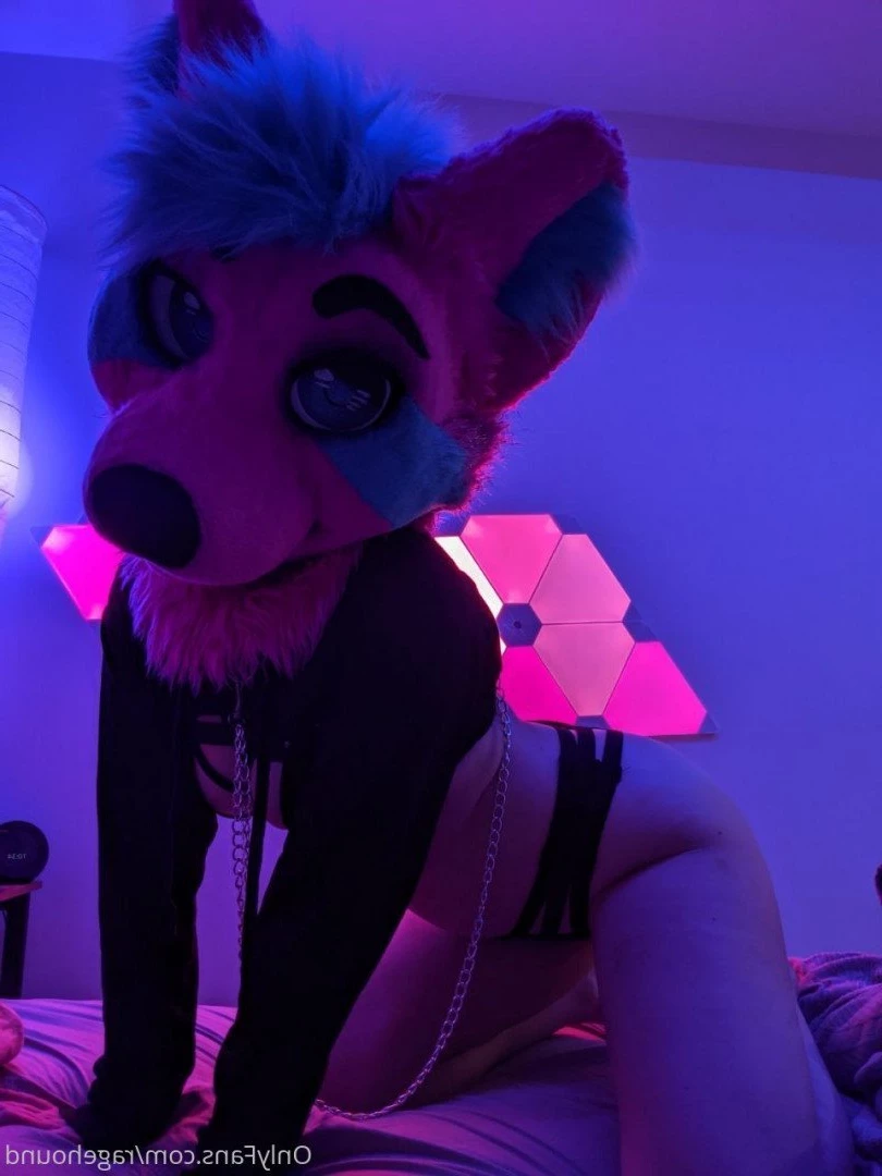 ragehound Onlyfans leaked photo 5298483 on Hotleaks.tv