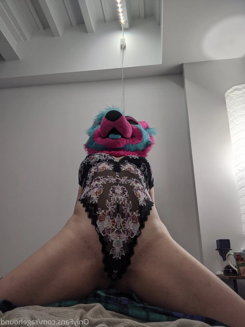 ragehound Onlyfans leaked photo 5299473 on Hotleaks.tv