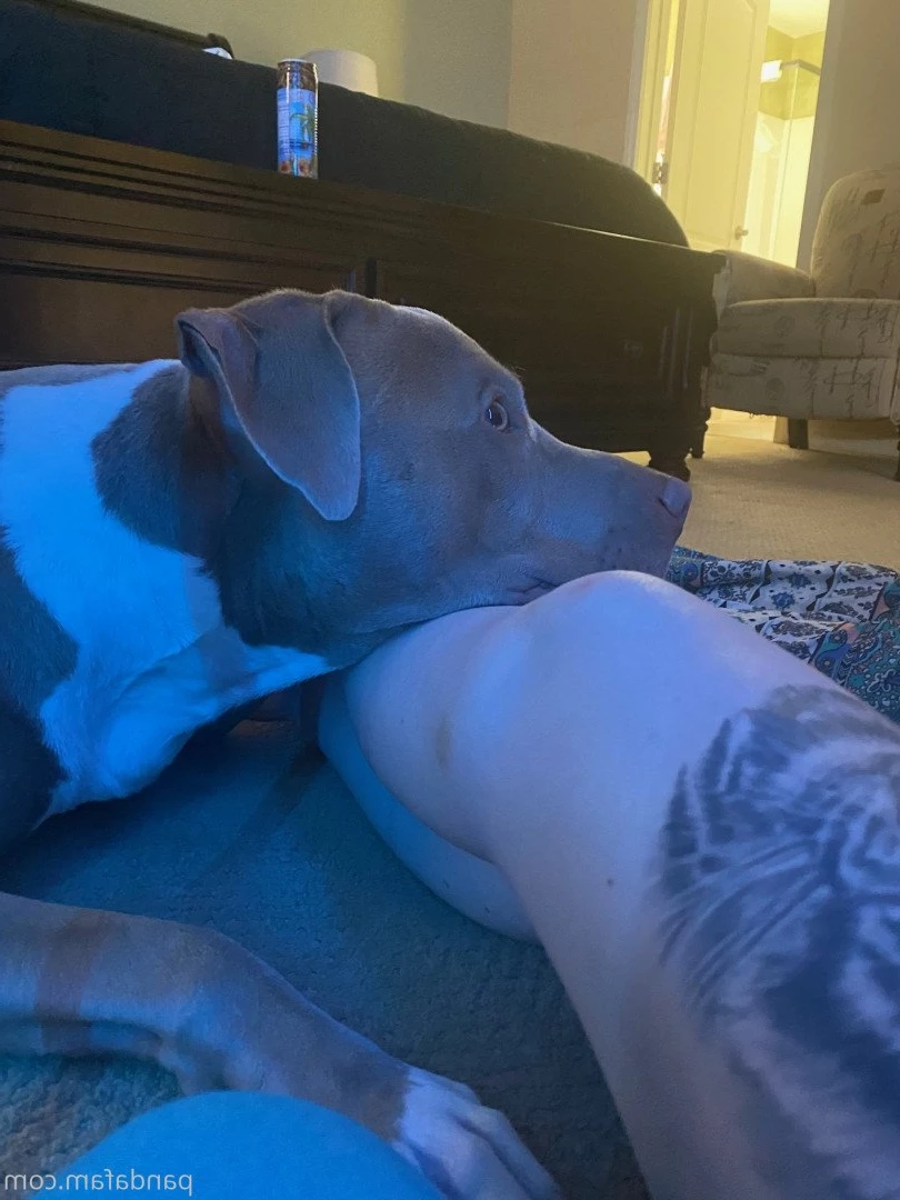 Lord Panda [ realdaddypanda ] Onlyfans leaked photo 5301937 on Hotleaks.tv