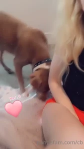 Lord Panda [ realdaddypanda ] Onlyfans leaked video 5310495 on Hotleaks.tv