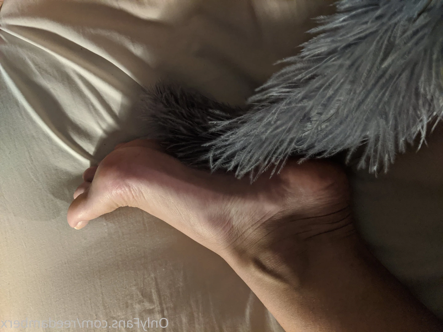 Reed [ reedamberx ] Onlyfans leaked photo 10192997 on Hotleaks.tv