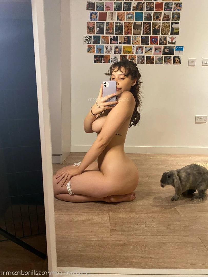 rosalinedreamin Onlyfans leaked photo 5027341 on Hotleaks.tv