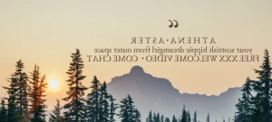 15863794
