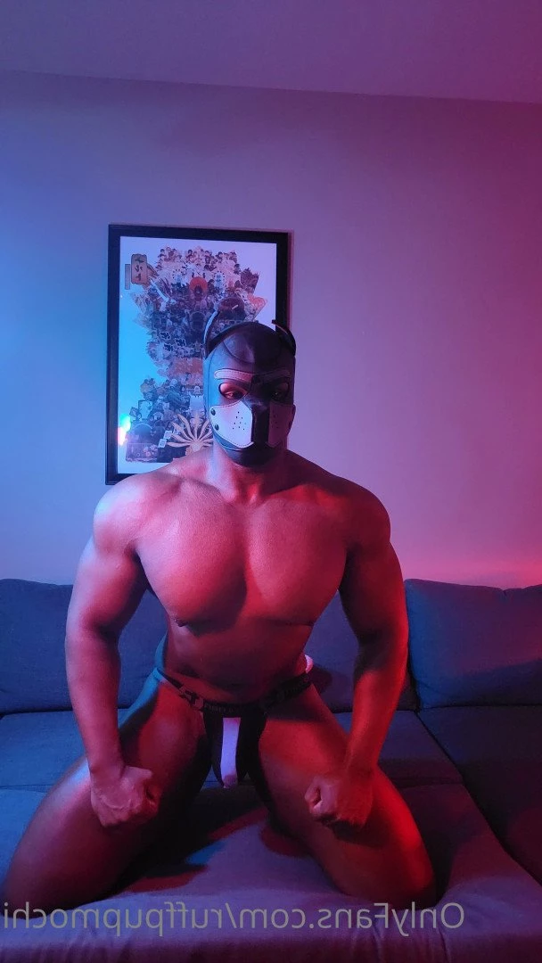 M O C H I [ ruffpupmochi ] Onlyfans leaked photo 5373297 on Hotleaks.tv