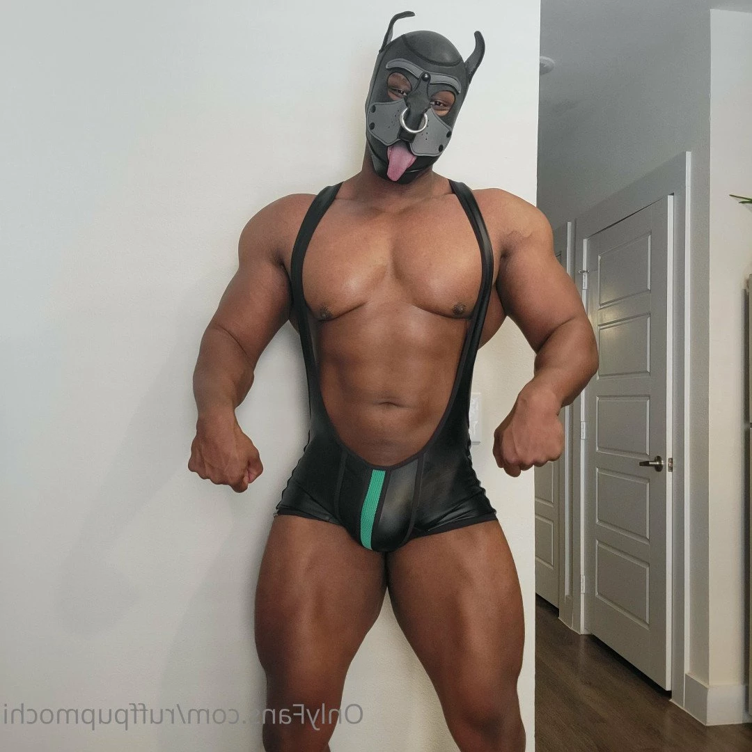 M O C H I [ ruffpupmochi ] Onlyfans leaked photo 5373482 on Hotleaks.tv