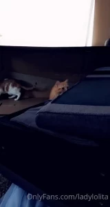 Lady [ runesy ] Onlyfans leaked video 5329233 on Hotleaks.tv