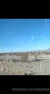 5329782