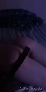 5331442