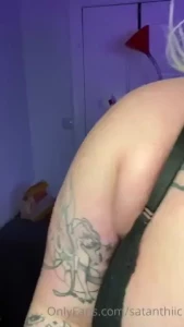 18260474