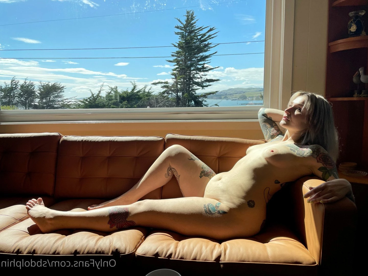 sbdolphin Onlyfans leaked photo 5047273 on Hotleaks.tv