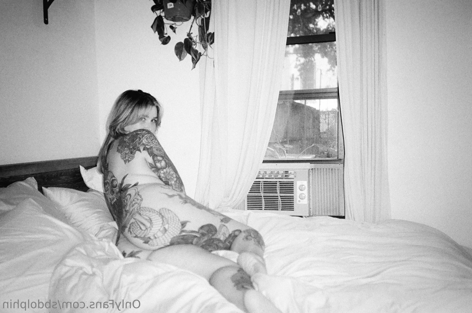 sbdolphin Onlyfans leaked photo 9293260 on Hotleaks.tv