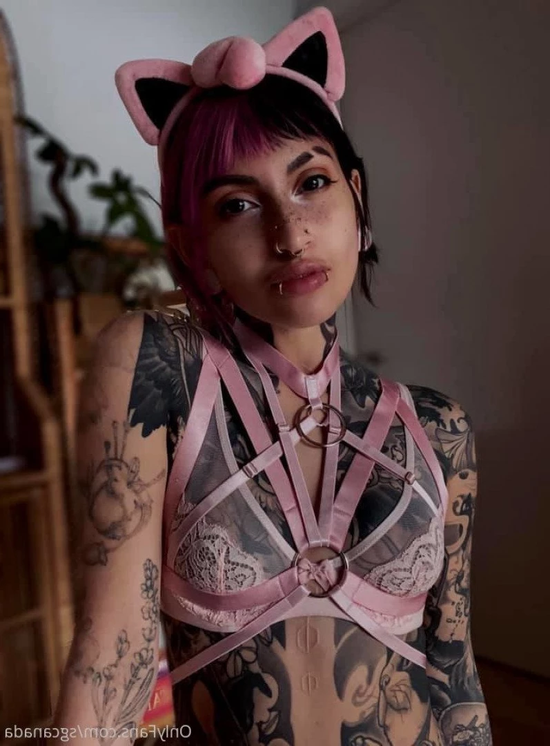 Canadian SuicideGirls [ sgcanada ] Onlyfans leaked photo 5263635 on Hotleaks.tv