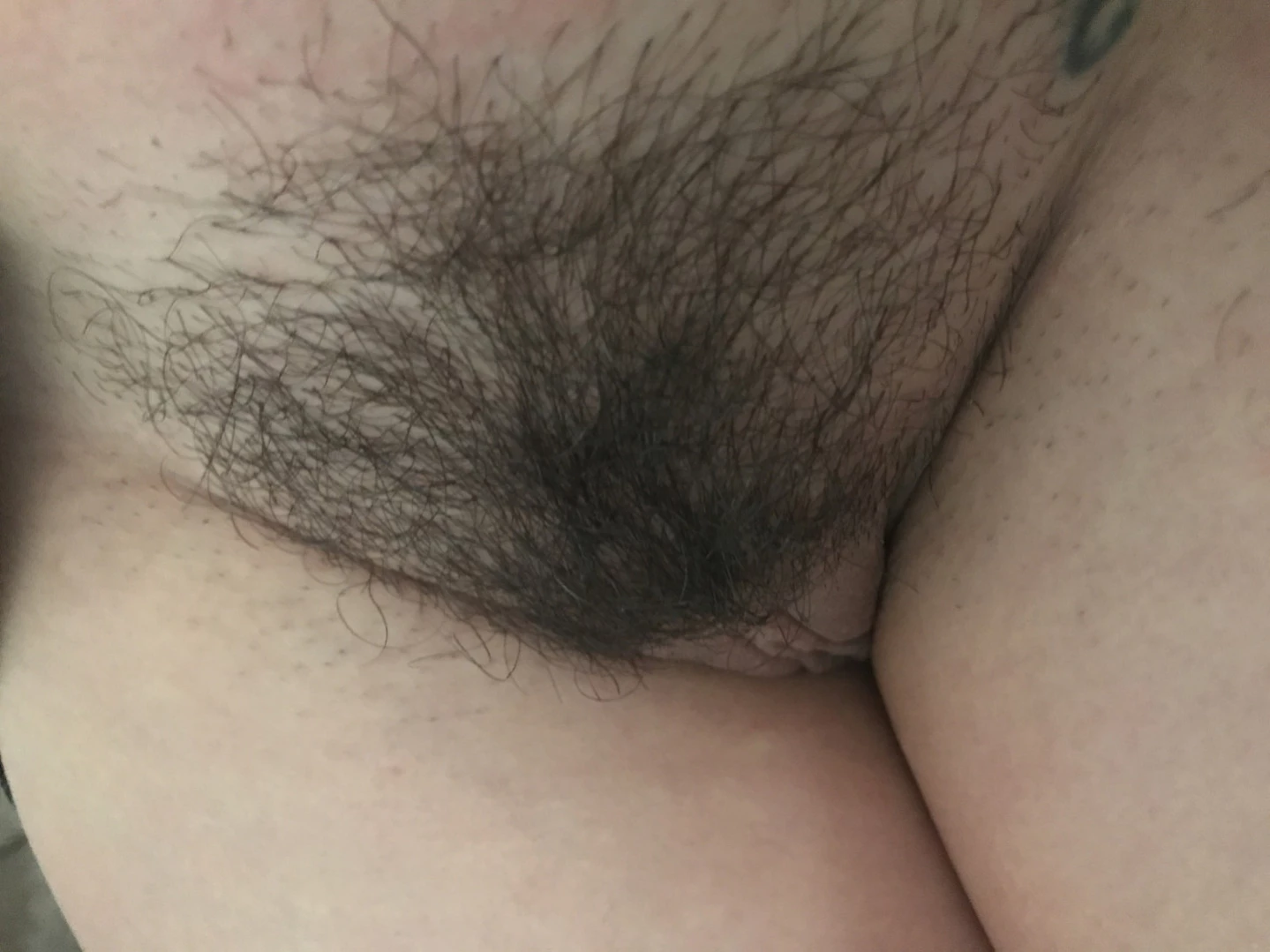 Shyla Jennings [ shylajennings ] Onlyfans leaked photo 12823527 on Hotleaks.tv