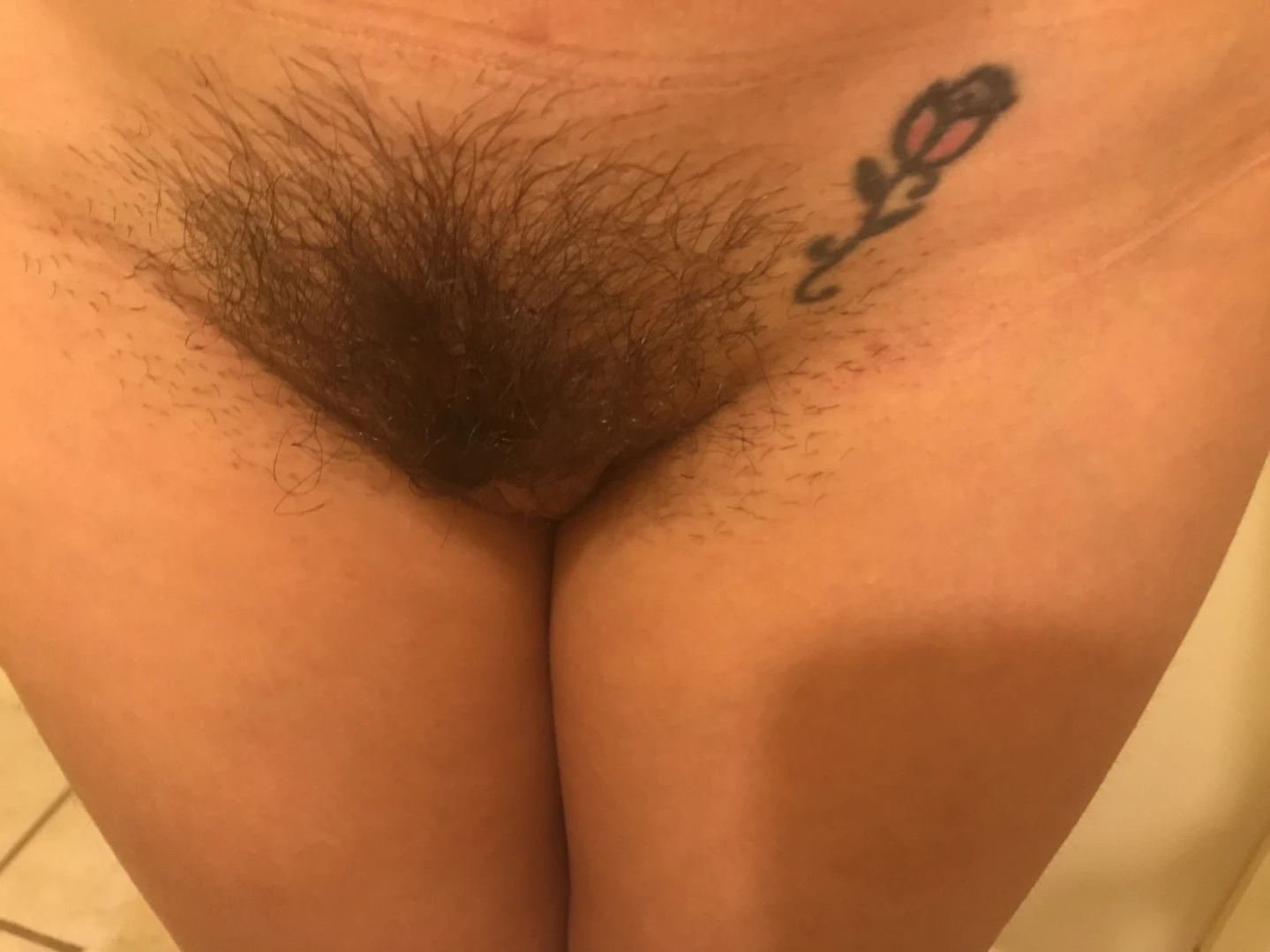 Shyla Jennings [ shylajennings ] Onlyfans leaked photo 13551167 on Hotleaks.tv