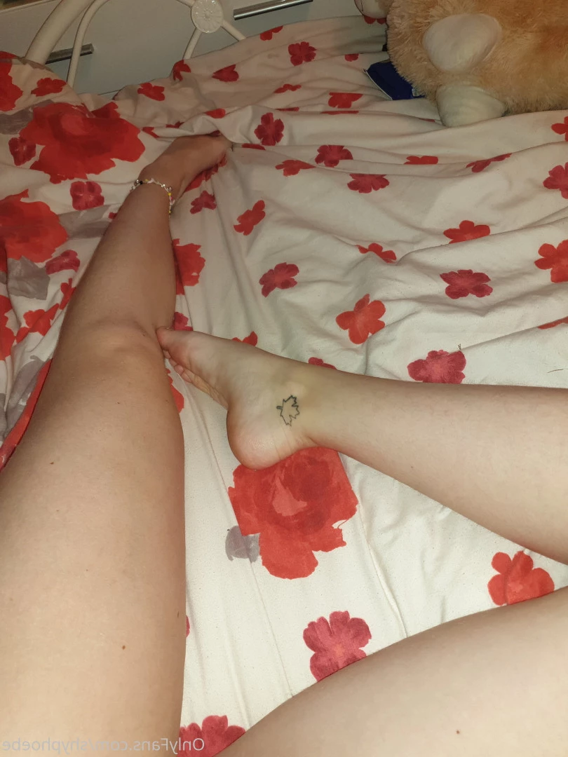 Phoebe 💞 [ shyphoebe ] Onlyfans leaked photo 9608582 on Hotleaks.tv