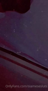 5359991