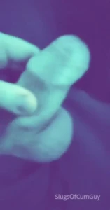 5367619