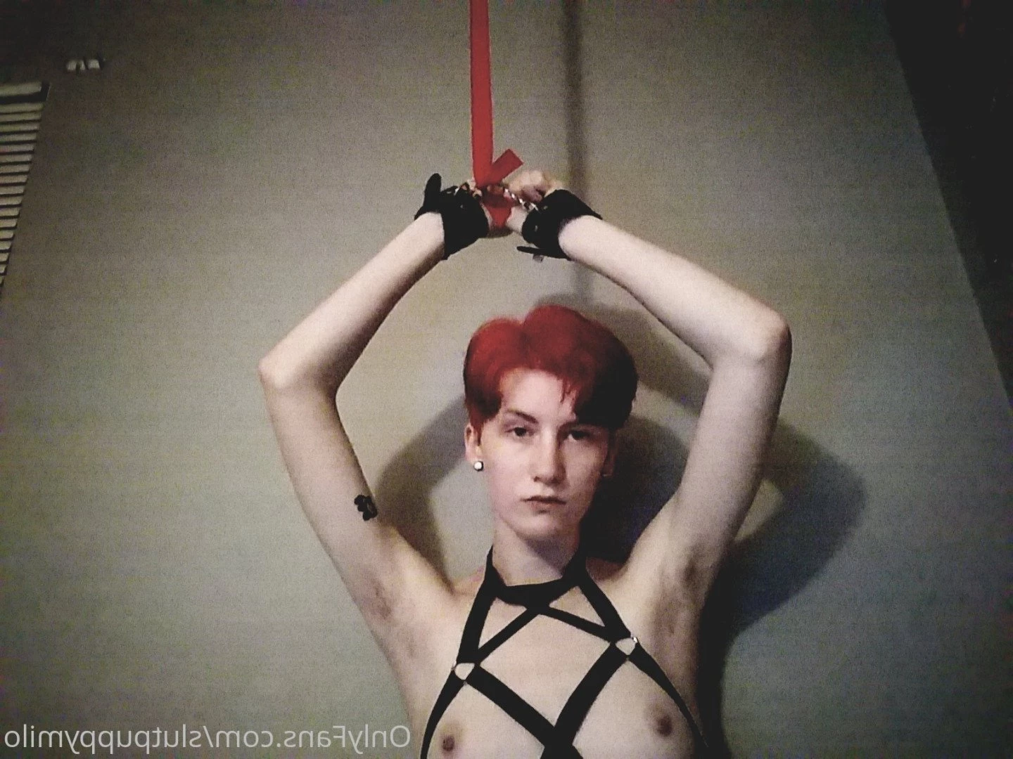 Pup🖤 [ slutpuppymilo ] Onlyfans leaked photo 4964383 on Hotleaks.tv