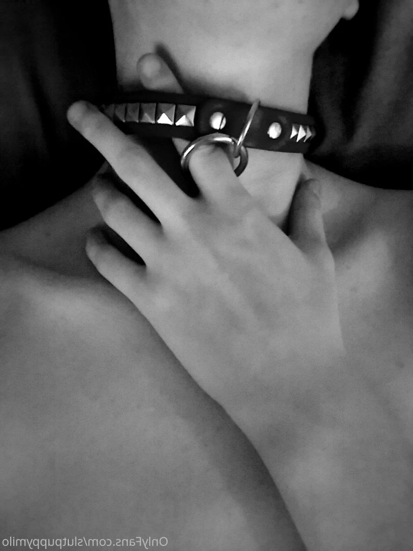 Pup🖤 [ slutpuppymilo ] Onlyfans leaked photo 4964399 on Hotleaks.tv