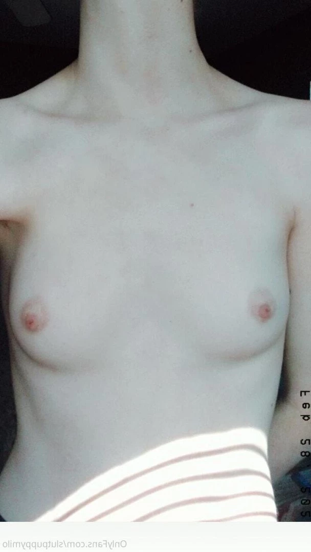 Pup🖤 [ slutpuppymilo ] Onlyfans leaked photo 4964530 on Hotleaks.tv