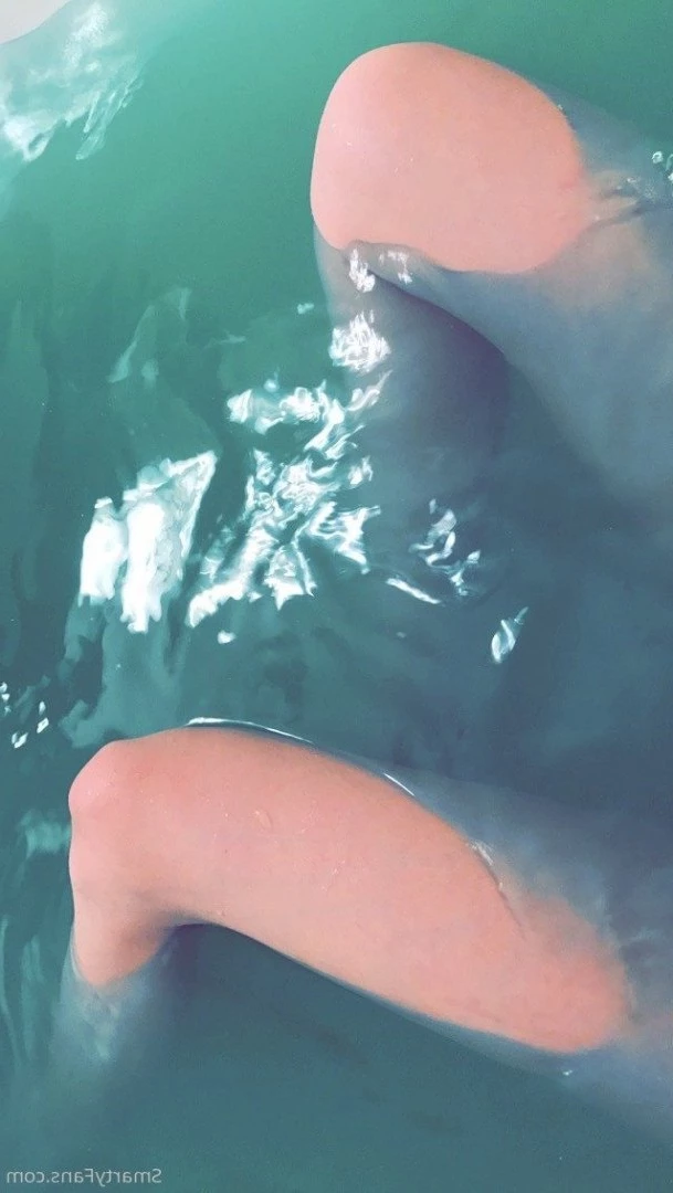 smartykat420 Onlyfans leaked photo 4963571 on Hotleaks.tv