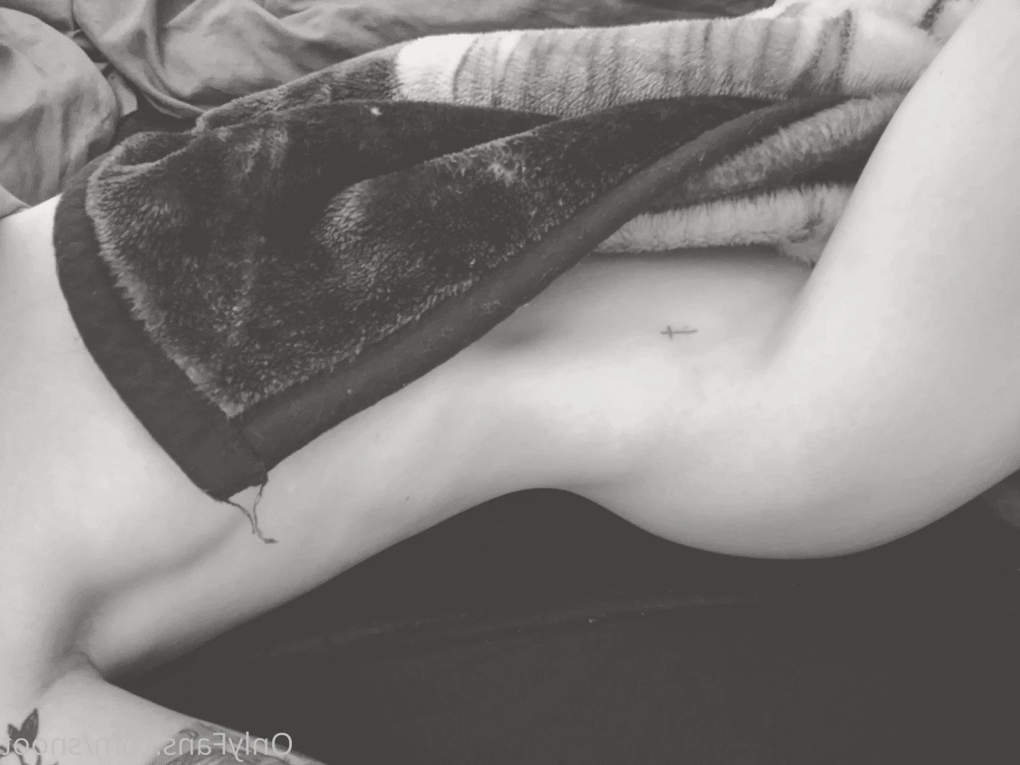 snoot Onlyfans leaked photo 4963059 on Hotleaks.tv