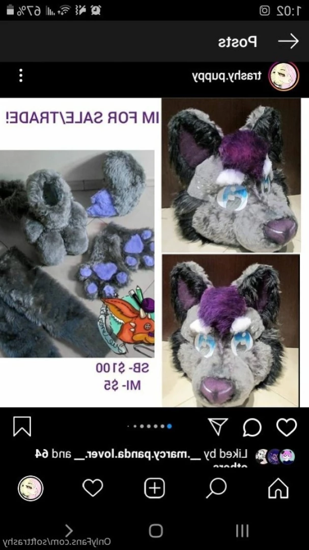 Trashy Lil Kitty [ softtrashy ] Onlyfans leaked photo 11003596 on Hotleaks.tv