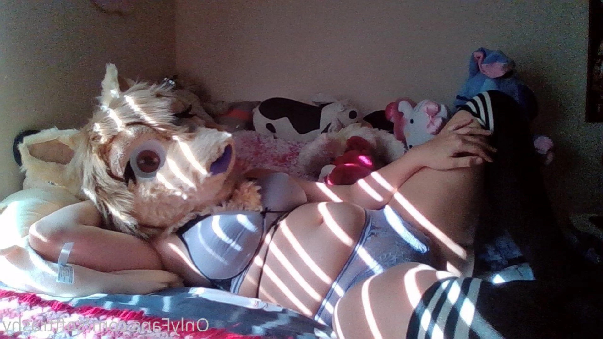 Trashy Lil Kitty [ softtrashy ] Onlyfans leaked photo 11090122 on Hotleaks.tv