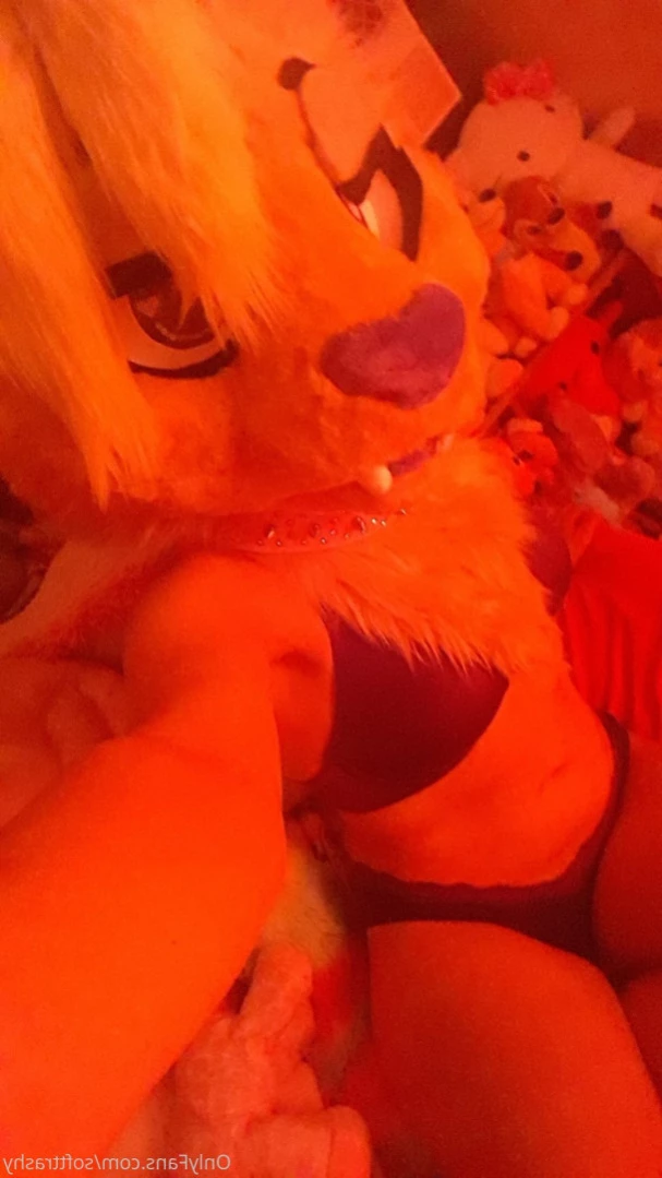 Trashy Lil Kitty [ softtrashy ] Onlyfans leaked photo 11090164 on Hotleaks.tv