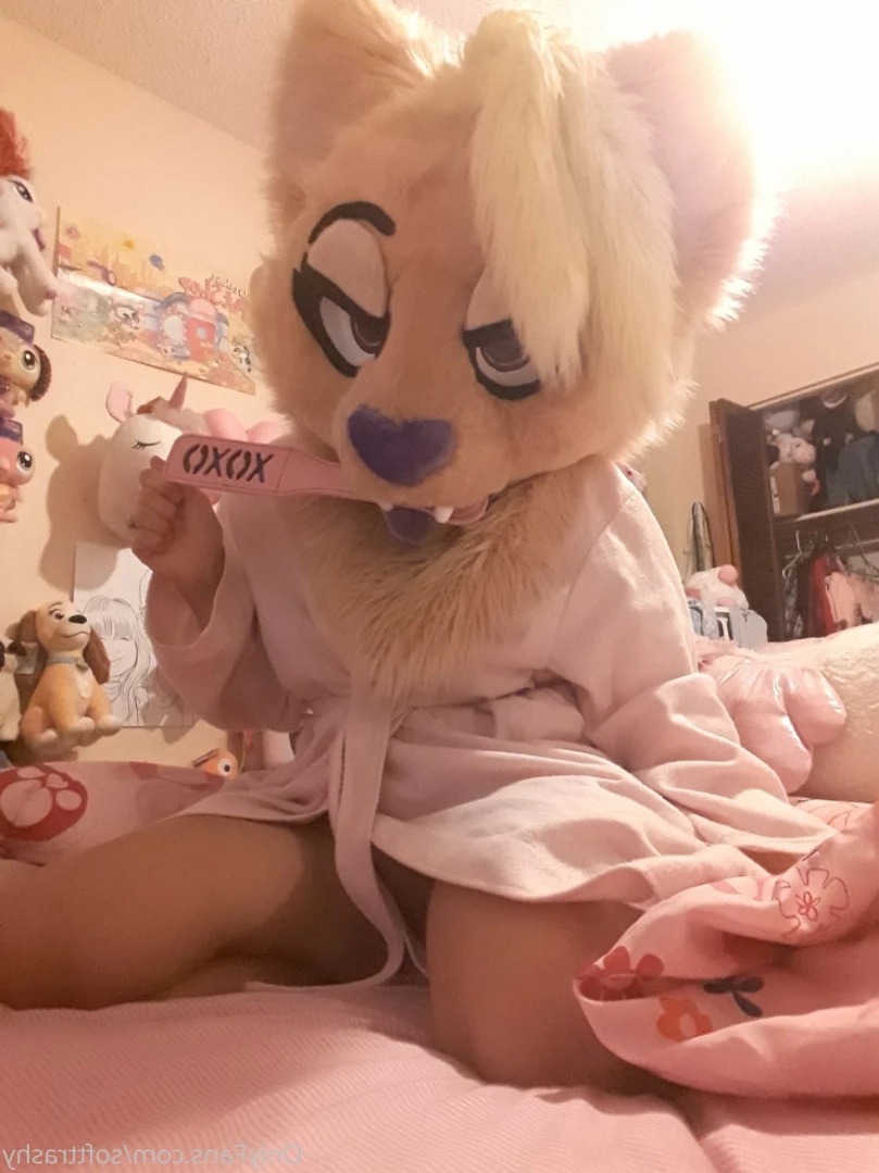 Trashy Lil Kitty [ softtrashy ] Onlyfans leaked photo 11090200 on Hotleaks.tv