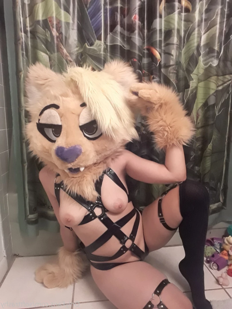 Trashy Lil Kitty [ softtrashy ] Onlyfans leaked photo 11090327 on Hotleaks.tv