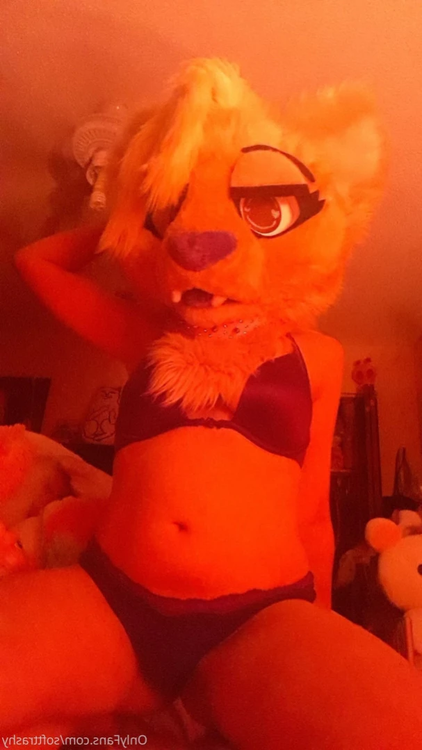 Trashy Lil Kitty [ softtrashy ] Onlyfans leaked photo 11091083 on Hotleaks.tv