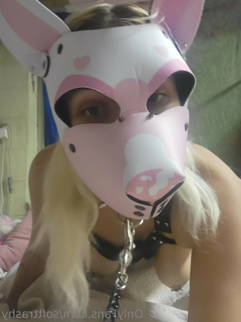 Trashy Lil Kitty [ softtrashy ] Onlyfans leaked photo 11091232 on Hotleaks.tv