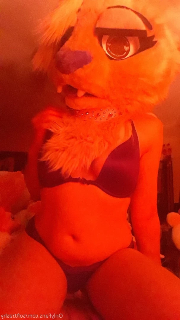 Trashy Lil Kitty [ softtrashy ] Onlyfans leaked photo 11091266 on Hotleaks.tv