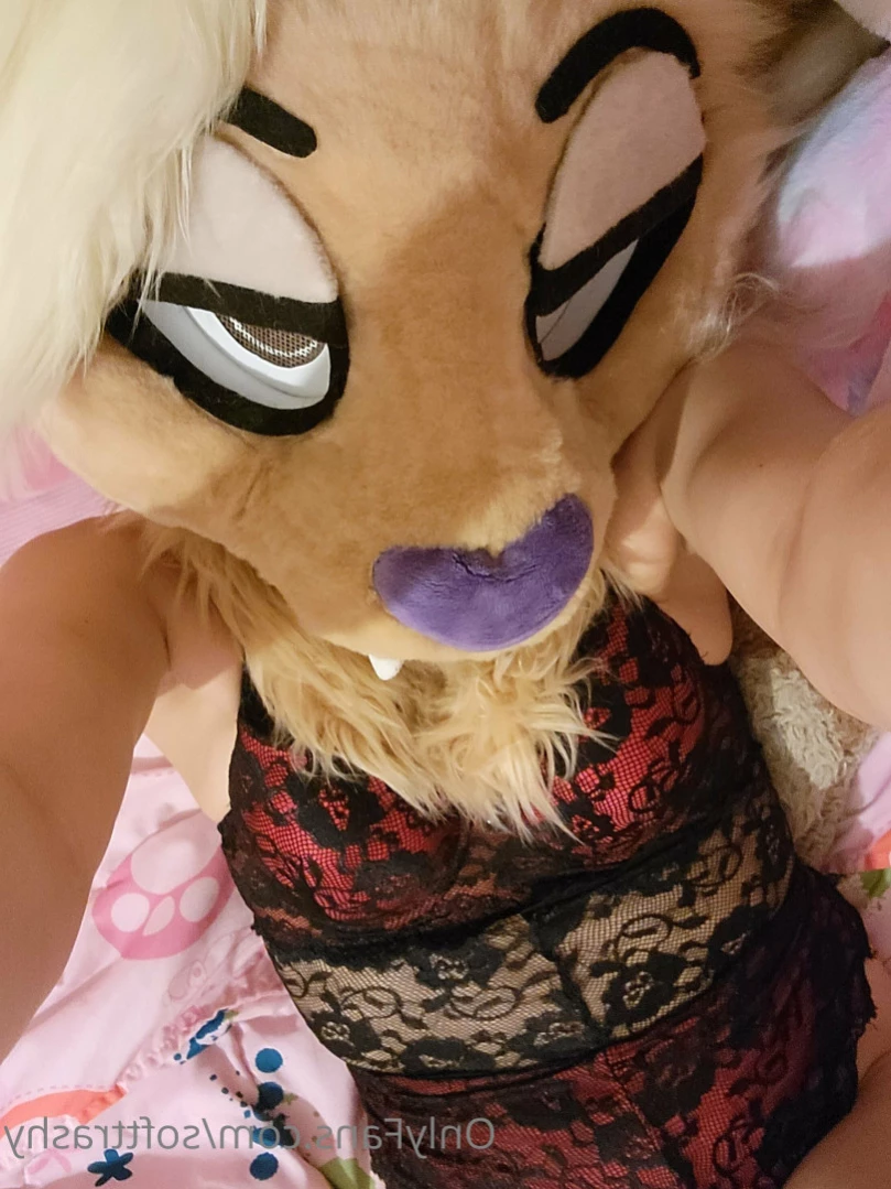Trashy Lil Kitty [ softtrashy ] Onlyfans leaked photo 11091415 on Hotleaks.tv