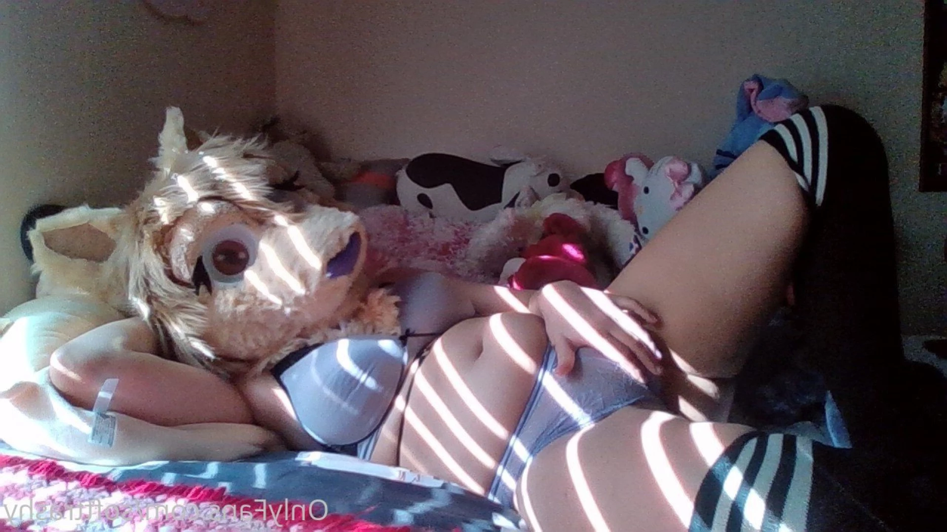 Trashy Lil Kitty [ softtrashy ] Onlyfans leaked photo 11091557 on Hotleaks.tv