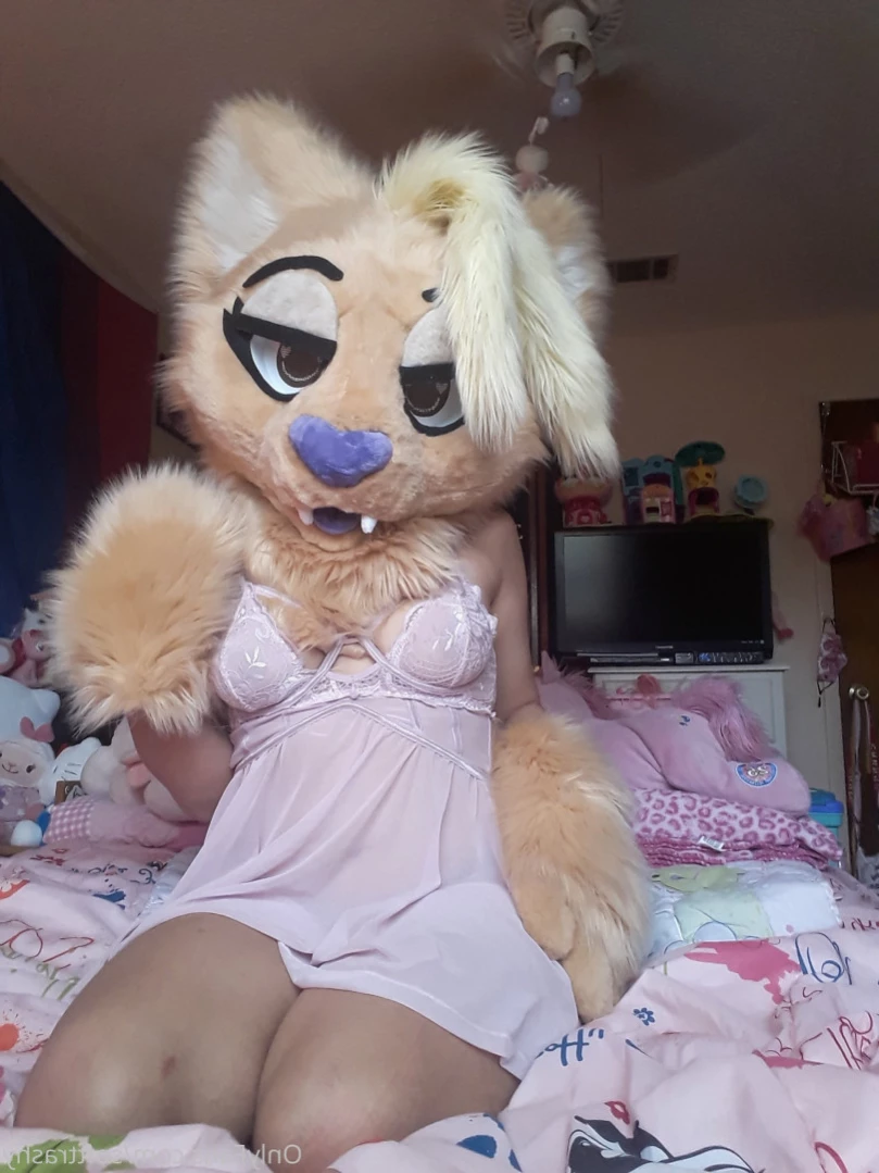 Trashy Lil Kitty [ softtrashy ] Onlyfans leaked photo 11091580 on Hotleaks.tv