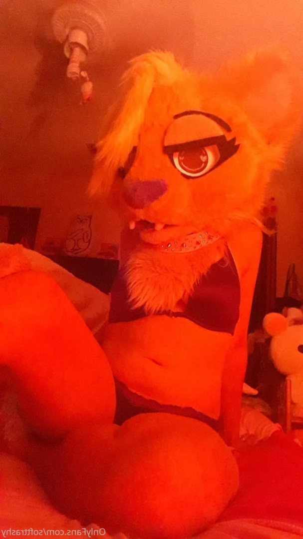 Trashy Lil Kitty [ softtrashy ] Onlyfans leaked photo 11091739 on Hotleaks.tv
