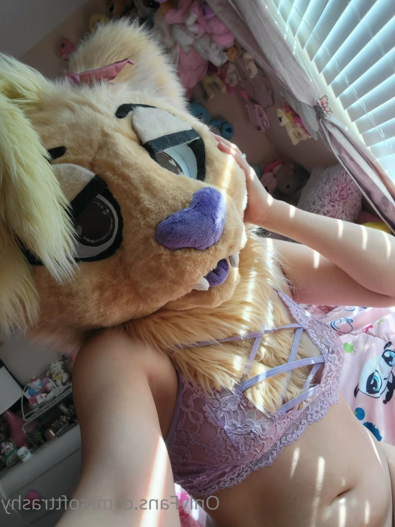 Trashy Lil Kitty [ softtrashy ] Onlyfans leaked photo 12082855 on Hotleaks.tv