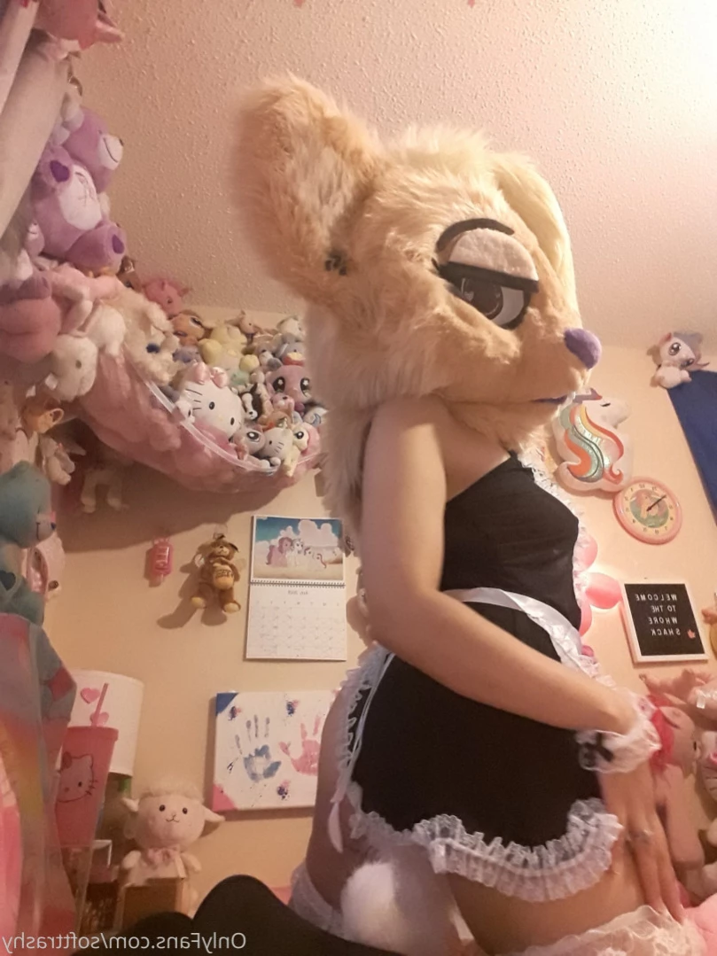 Trashy Lil Kitty [ softtrashy ] Onlyfans leaked photo 12395271 on Hotleaks.tv