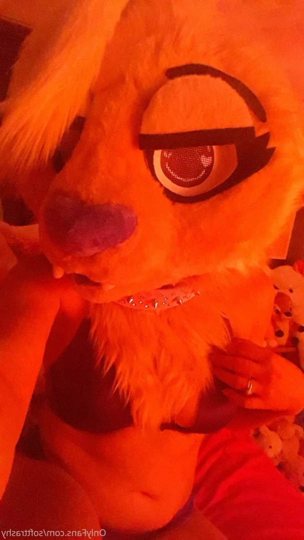 Trashy Lil Kitty [ softtrashy ] Onlyfans leaked photo 12856642 on Hotleaks.tv
