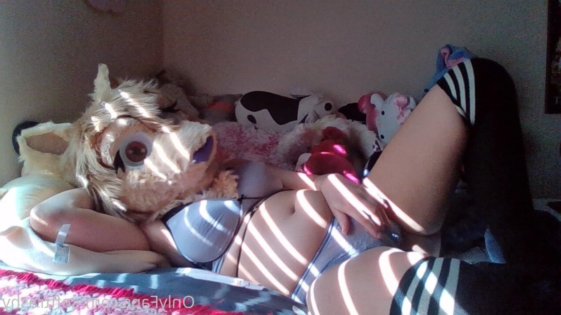 Trashy Lil Kitty [ softtrashy ] Onlyfans leaked photo 14128565 on Hotleaks.tv