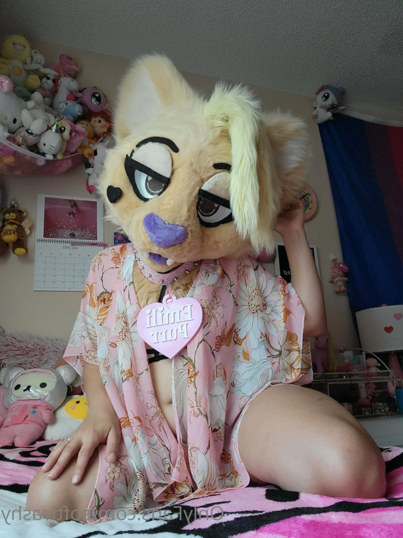 Trashy Lil Kitty [ softtrashy ] Onlyfans leaked photo 14588475 on Hotleaks.tv