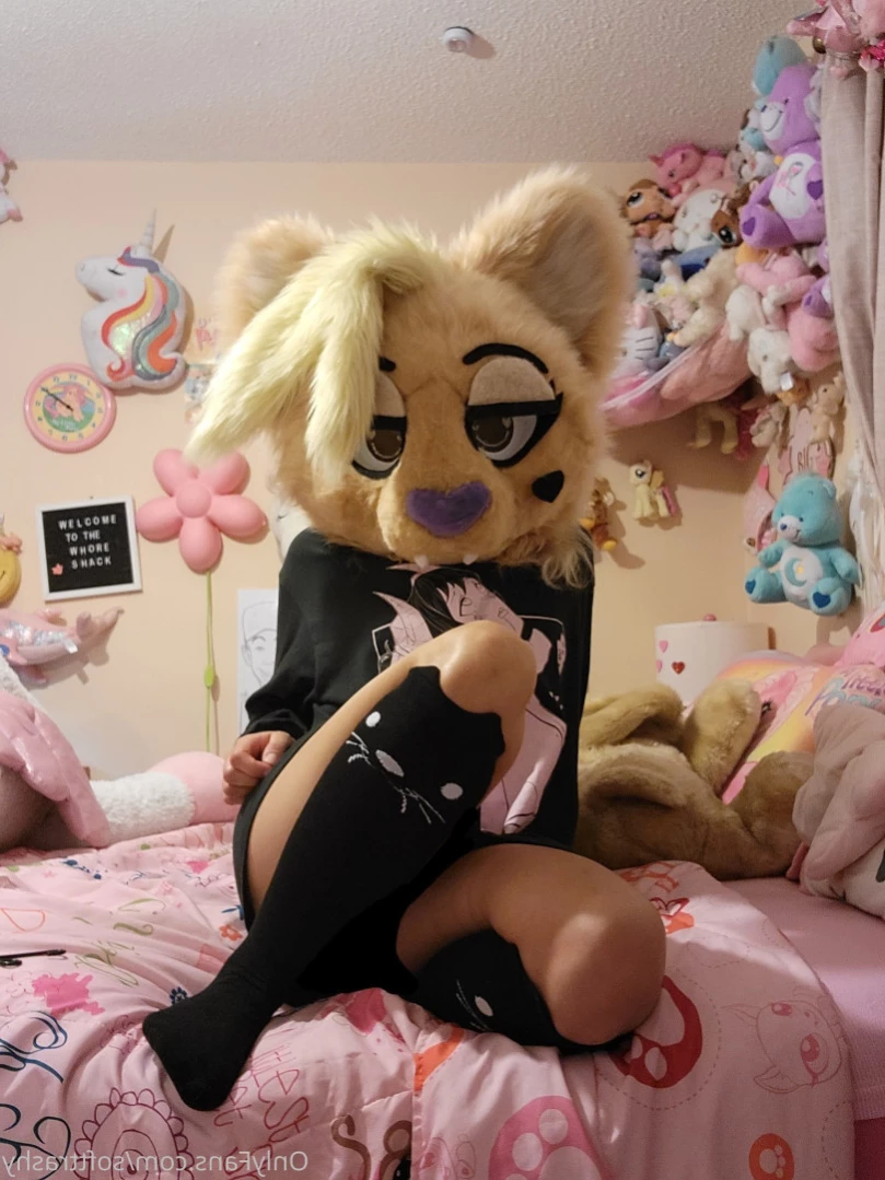 Trashy Lil Kitty [ softtrashy ] Onlyfans leaked photo 15034956 on Hotleaks.tv