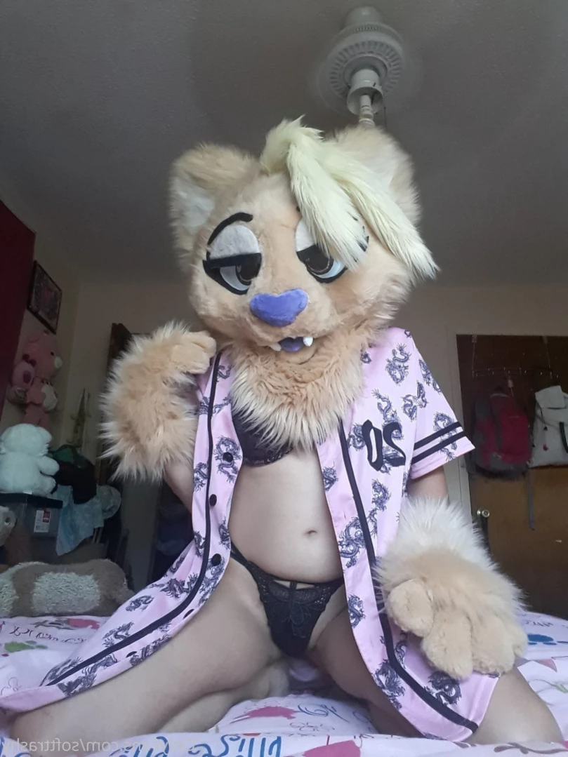 Trashy Lil Kitty [ softtrashy ] Onlyfans leaked photo 15344401 on Hotleaks.tv