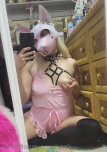 16317355