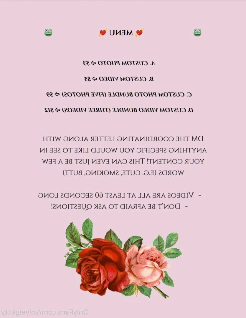 solveigkitty Onlyfans leaked photo 5016521 on Hotleaks.tv