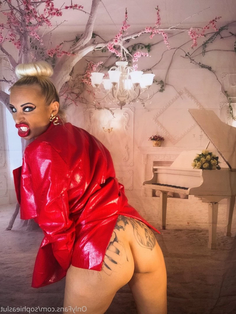 sophieaslut Onlyfans leaked photo 5011478 on Hotleaks.tv