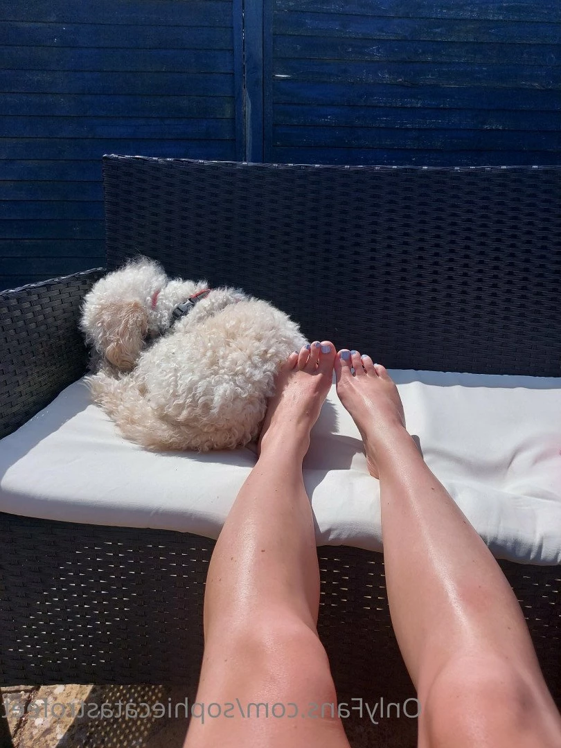 Sophie Catastrofeet [ sophiecatastrofeet ] Onlyfans leaked photo 4939314 on Hotleaks.tv